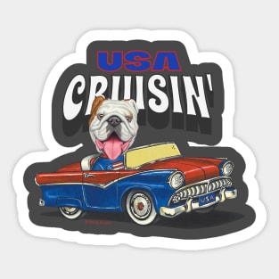 Cute Bulldog dog driving classic Car cruisin' USA Sticker